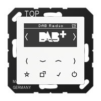 Смарт радио DAB+