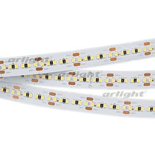 Лента MICROLED-5000HP 24V White5500 10mm (2216, 300 LED/m, LUX)