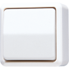 Выключатель одноклавишный 10 AX / 250 B ~, 607 A WW