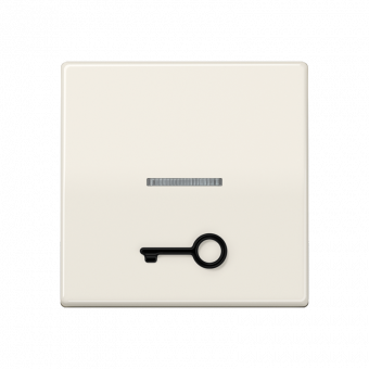 Безбарьерная среда Kлавиша с рельефным символом «ключ» и окошком, AS 591 T1KO5