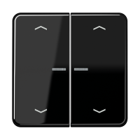 JUNG HOME кнопка, 2 группы с символами «стрелки», BT CD 17102 P SW