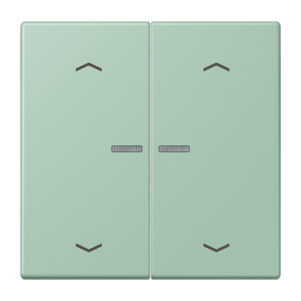 JUNG HOME кнопка, 2 группы с символами «стрелки», BT LC 17102 P217