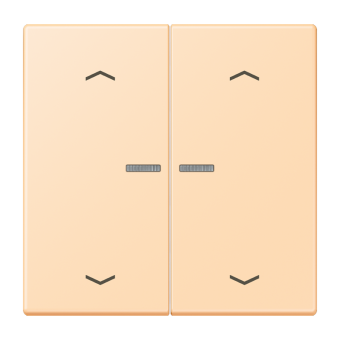 JUNG HOME кнопка, 2 группы с символами «стрелки», BT LC 17102 P223