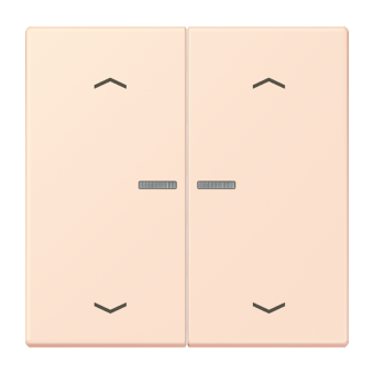 JUNG HOME кнопка, 2 группы с символами «стрелки», BT LC 17102 P226