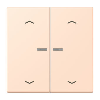 JUNG HOME кнопка, 2 группы с символами «стрелки», BT LC 17102 P228