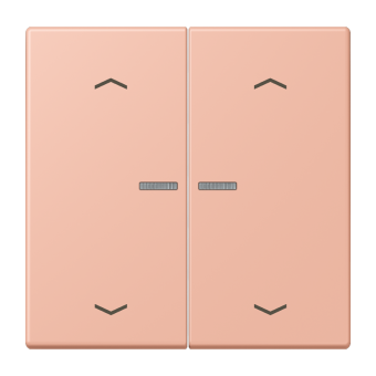 JUNG HOME кнопка, 2 группы с символами «стрелки», BT LC 17102 P231