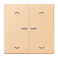 JUNG HOME кнопка, 2 группы с символами «стрелки», BT LC 17102 P237