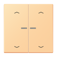 JUNG HOME кнопка, 2 группы с символами «стрелки», BT LC 17102 P258