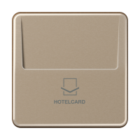 Накладка карточного выключателя (без механизма), CD 590 CARD GB-L
