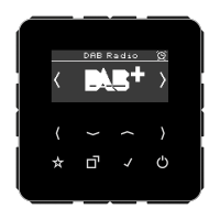 Смарт радио DAB+, DAB CD SW
