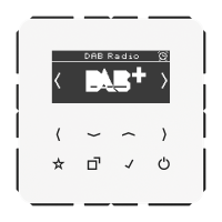 Смарт радио DAB+, DAB CD WW