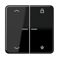eNet кнопка, универсальная, 1 группа с символами «стрелки», FM CD 1701 P SW