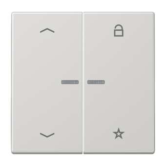 eNet кнопка, универсальная, 1 группа с символами «стрелки», FM LS 1701 P LG