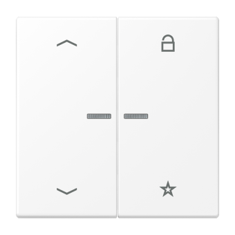 Universal centre plate "arrows", LS 1701 P WWM