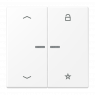 Universal centre plate "arrows", LS 1701 P WWM