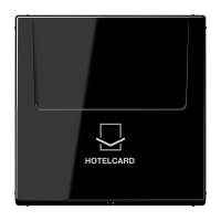 Накладка карточного выключателя (без механизма), LS 590 CARD SW