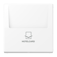 Накладка карточного выключателя (без механизма), LS 590 CARD WWM