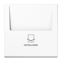 Накладка карточного выключателя (без механизма), LS 590 CARD WW