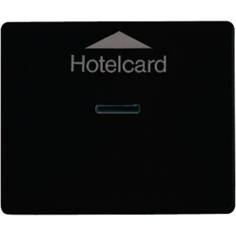 Накладка карточного выключателя (без механизма), SL 590 CARD SW