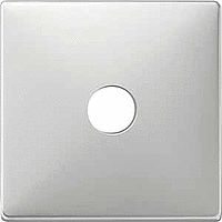 СПЕЦИАЛЬНЫЕ ЦЕНТРАЛЬНЫЕ ПЛАТЫ СТАЛЬ ЛАК