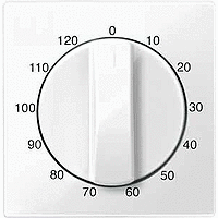 ЦЕНТР.ПЛАТА Д/МЕХ.ТАЙМЕРА 120МИН БЕЛЫЙ