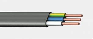 ВВГ-Пнг(А)-LS 3х1,5 (N, PE)
